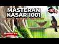 Masteran Tepus Kepala Abu Gacor Vs Cucak Cungkok Super Gacor Saling Nembak Kasar Satu Irama Lagu