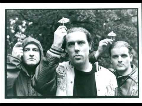 The wolfgang press + Chicago + cabaret metro + February 18 1989