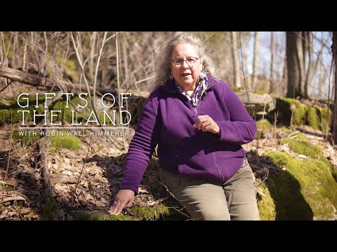 GIFTS OF THE LAND | A Guided Nature Tour with Robin Wall Kimmerer | The Commons KU