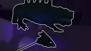 How To Kill: King Thresher | Deepwoken