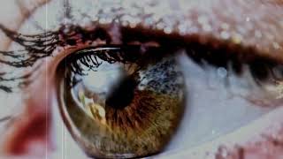 ASP - Spiegelauge Ptll : Spiegelaugen