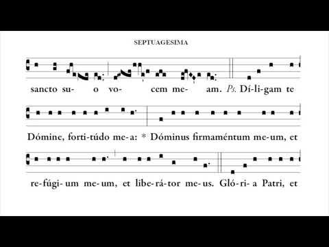 SEPTUAGESIMA Introitus  Circumdederunt me