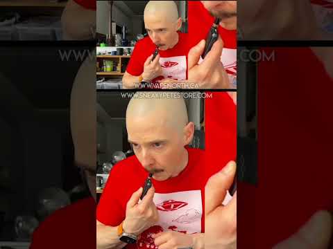 CCELL RIZO vs CCELL PALM & CCELL SILO #510 #rizo #review