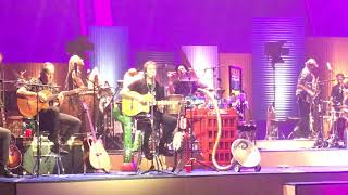 Como la abeja y la flor - Auténticos Decadentes