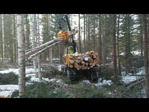 -Kita- Kinetic, forwarders