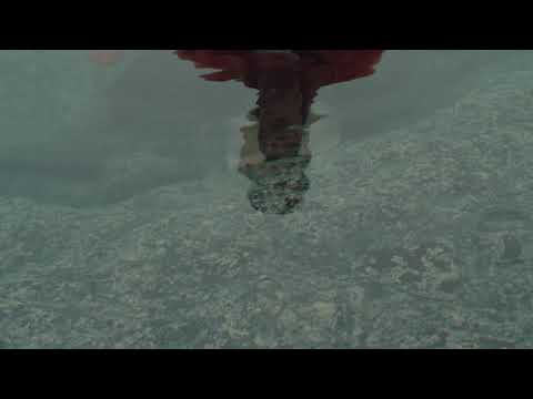 Pedro LaDroga, $kyhook - Si Tu Quisieras (Cover Audio)