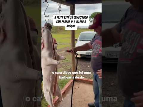 Paraná & j veloso direto de tuneiras oeste do Paraná