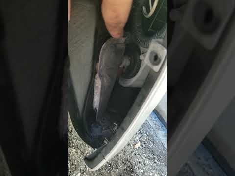 Replacing foglights bulbs on a Lexus is250