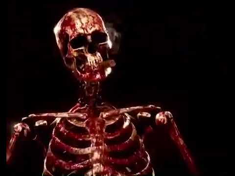 The terminator wins. Flawless victory