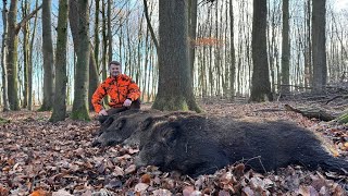 Januar Drückjagd im Naturwald - Jagdkrone