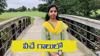 వీచే గాలుల్లో