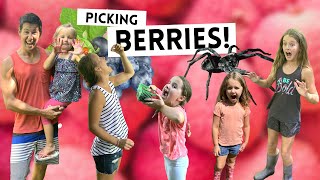 LIVING THE WAY Vlog // Picking Berries!