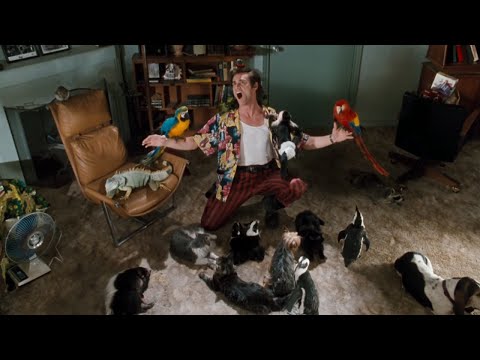Jim Carrey -At Home- (HD) Ace Ventura