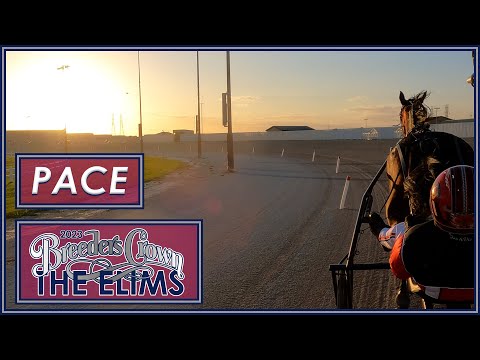 2023 Breeders Crown Elims - Mare Pace