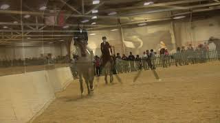 St. Lawrence Horse Show - Nov. 17, 2019