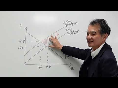 経済学科 ミクロ経済学 (11) 負の外部性と課税