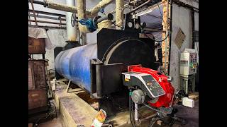 Deltapac Horizontal Oil & Gas Fired Thermic Fluid Heater | High Efficiency Indus