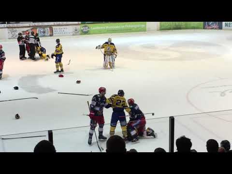 VER Selb vs. Tilburg Trappers Schlägerei