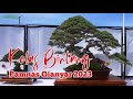 KELAS BINTANG PAMNASBONSAIGIANYAR2023
