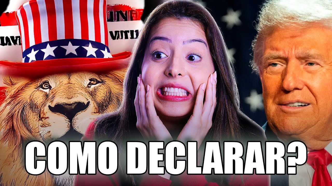 Como declarar investimentos no exterior 2025 (passo a passo)