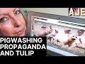 PIGWASHING AND PROPAGANDA TULIP EDITION