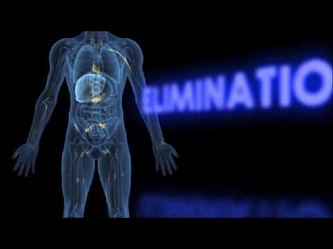 Drinking & Driving - How Alcohol Affects Your Body?