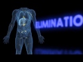 Drinking Driving How Alcohol Affects Your Body