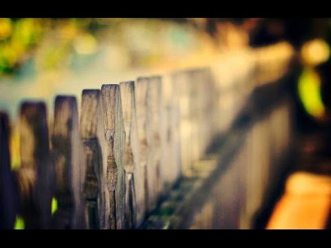 Xhafer bin Ebi Talib, ligjëruesi i Muslimanëve tek Nexhashiu! Fatjon Isufi