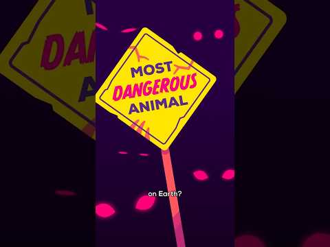The Most Dangerous Animal