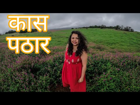 The Valley of Flowers You've Never Heard Of