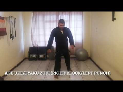 Follow along 20 Minute Karate Tabata Workout