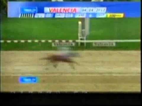 Resumen Miercoles, 04 de Abril de 2012 - Valencia