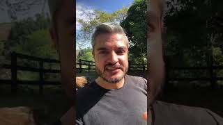 ADMITO  ESTE PRODUTO PODE SIM CURAR SEU CACHORRO COM PROBLEMAS DE PELE E DERMATITE