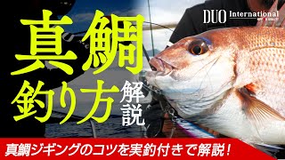 真鯛ジギングの秘訣！タックル・ジグ・アクション方法など釣り方のコツを解説