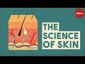 The science of skin - Emma Bryce