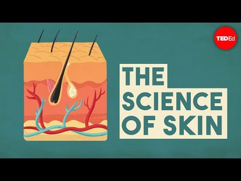 The science of skin - Emma Bryce