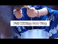GIRL MILKING COW Milking By HAND Cow Milking Villagevlog Housewifebusyroutine