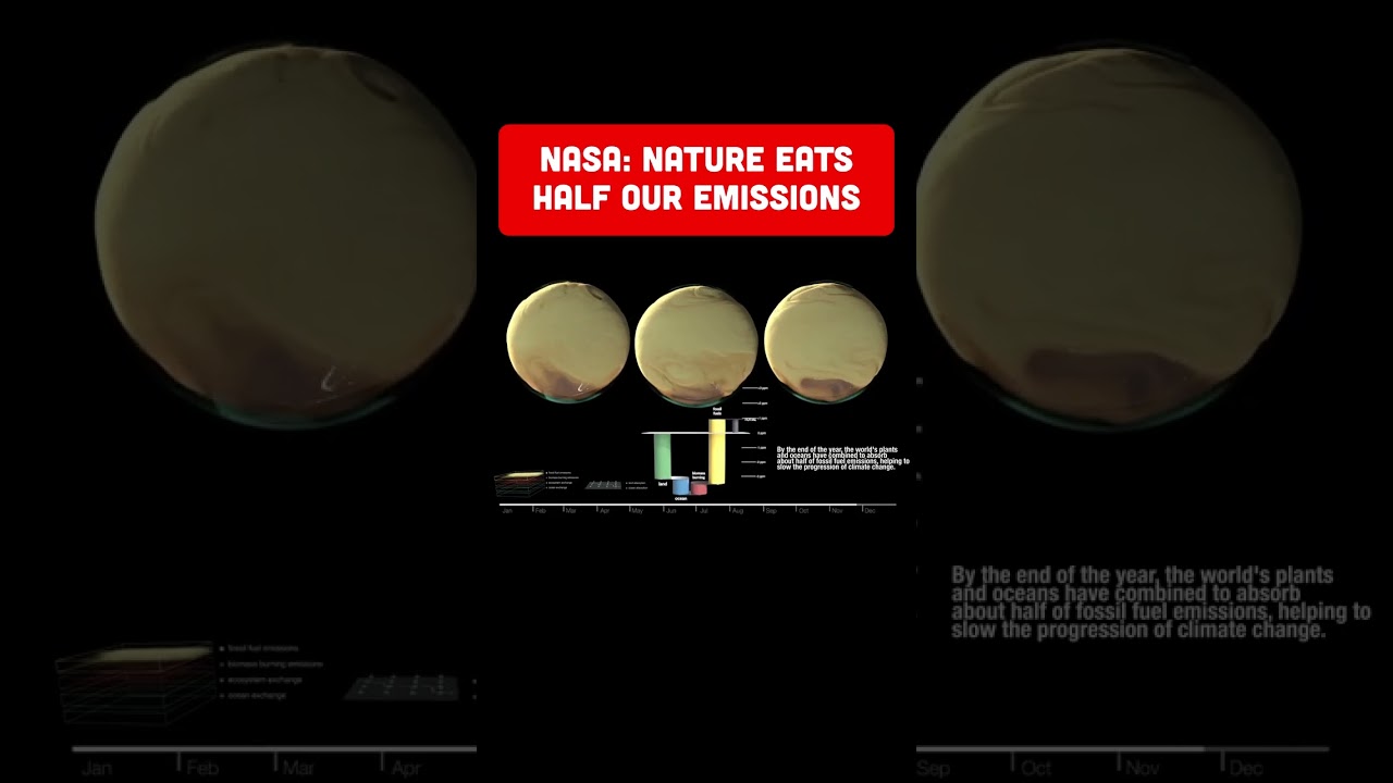 Half of All Fossil Fuel Emissions Are Being Absorbed — Here's What's Doing It