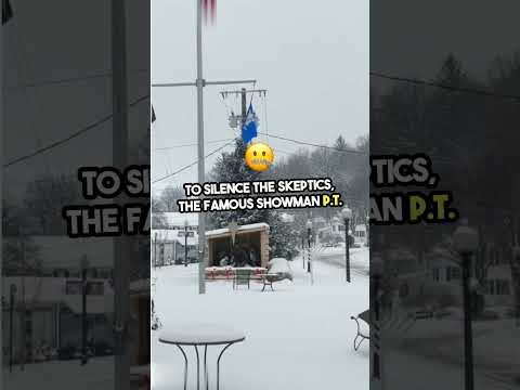 BROOKLYN Bridge Gets A Surprise Visit From ELEPHANTS