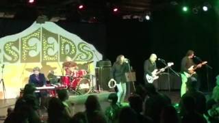 The Seeds - Try to Understand