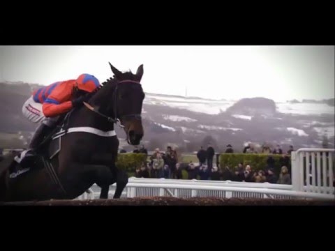Sprinter Sacre 2016 Cheltenham Champion Chase Feature