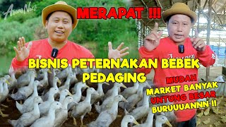 Download lagu MERAPAT YANG MAU USAHA PETERNAKAN BEBEK PEDAGING || CONTOHNYA BEGINI ??? - JURAGAN LAHAN mp3 Download lagu MERAPAT YANG MAU USAHA PETERNAKAN BEBEK PEDAGING || CONTOHNYA BEGINI ??? - JURAGAN LAHAN mp3