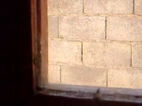 LA ARAÑA Y LA MOSCA