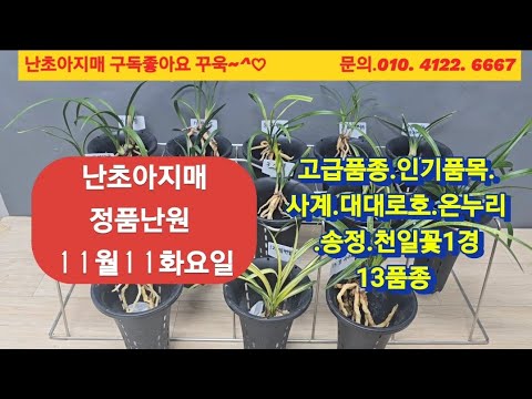 유튜브 썸네일