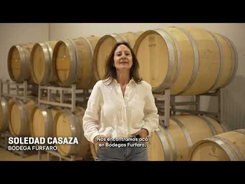 🍇 Córdoba, epicentro del turismo del vino argentino 🍷✨