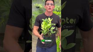 V&iacute;deo do produto