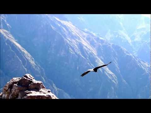 Baila caporal - Illapu