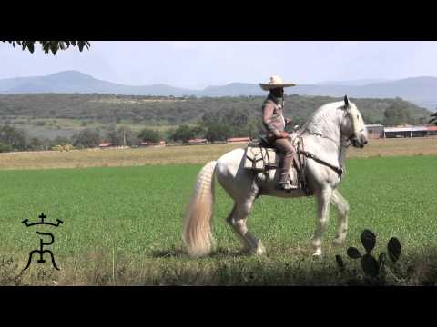 RANCHO LOS POTRILLOS JUCHITLAN Escolano