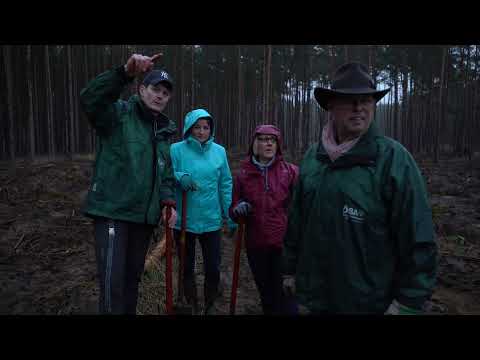 ÖSA Versicherungen sind nachhaltig.