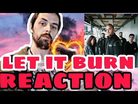This Song Saved My Life - Citizen Soldier - Let It Burn ( Reaction )